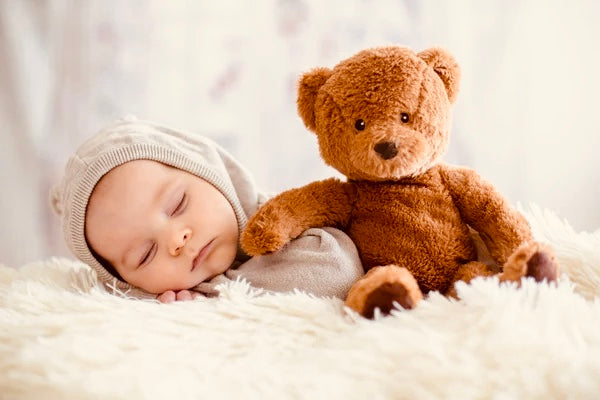Collection Bear 🧸